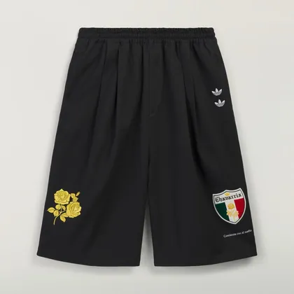Embroidered twill shorts product photo